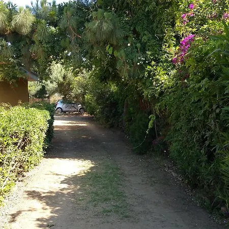Simius Holiday home *
